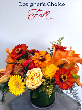 Designer's Choice Fall Edition