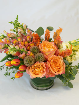 Soft Roses + Tulips