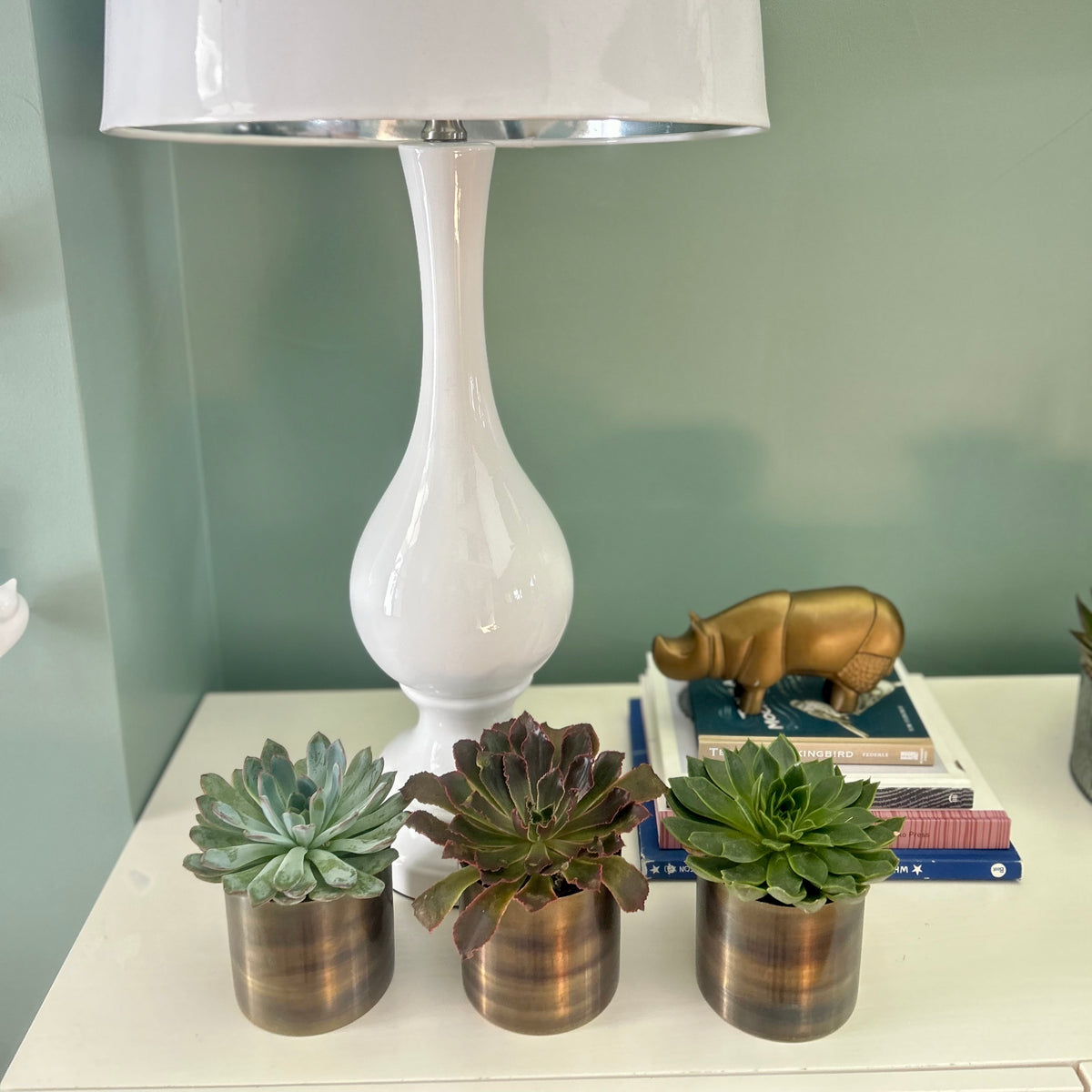 Succulent Plant Trio