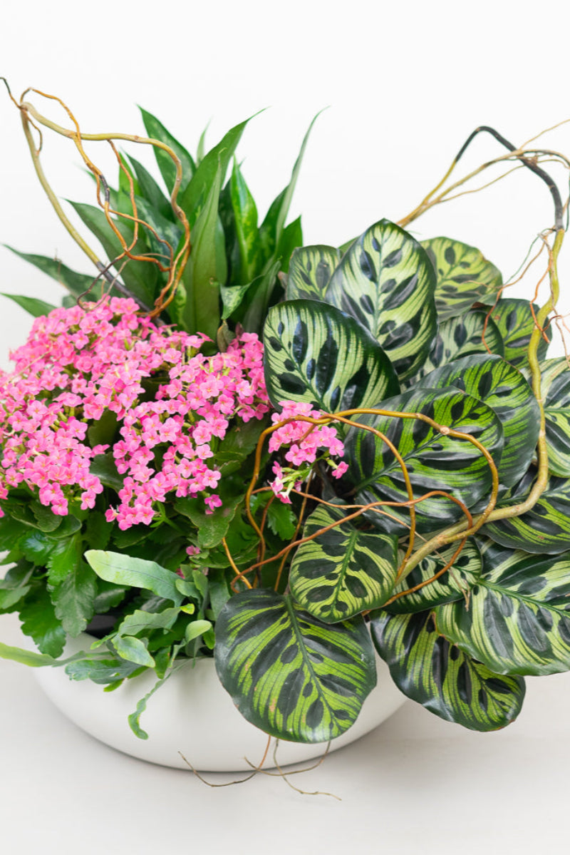 blooming and green plants in container 