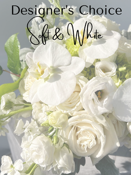 Designer's Choice w/ Soft Whites