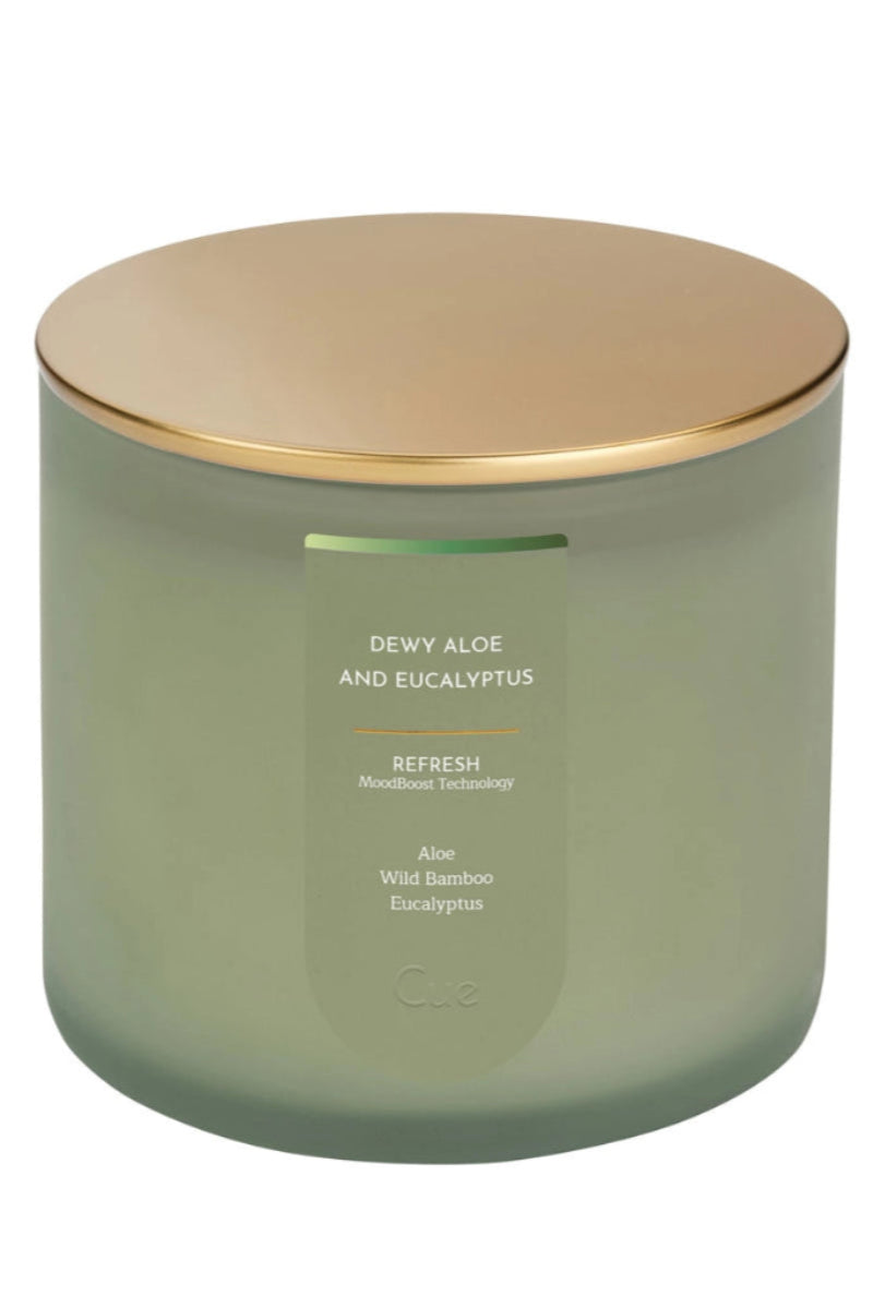 Dewy Aloe Eucalyptus Candle refresh in soft green frosted glass jar with gold lid