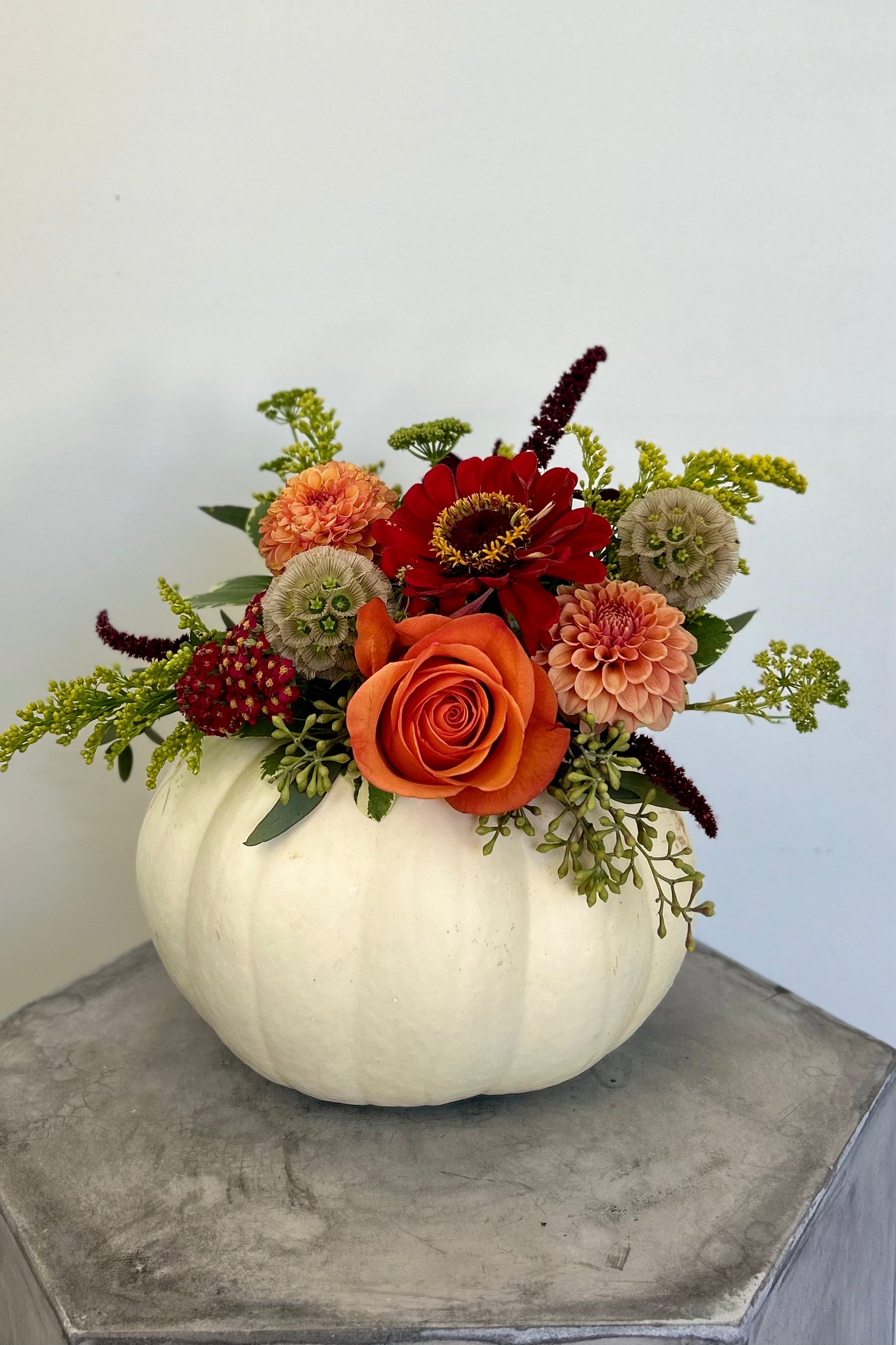 Pumpkin Harvest