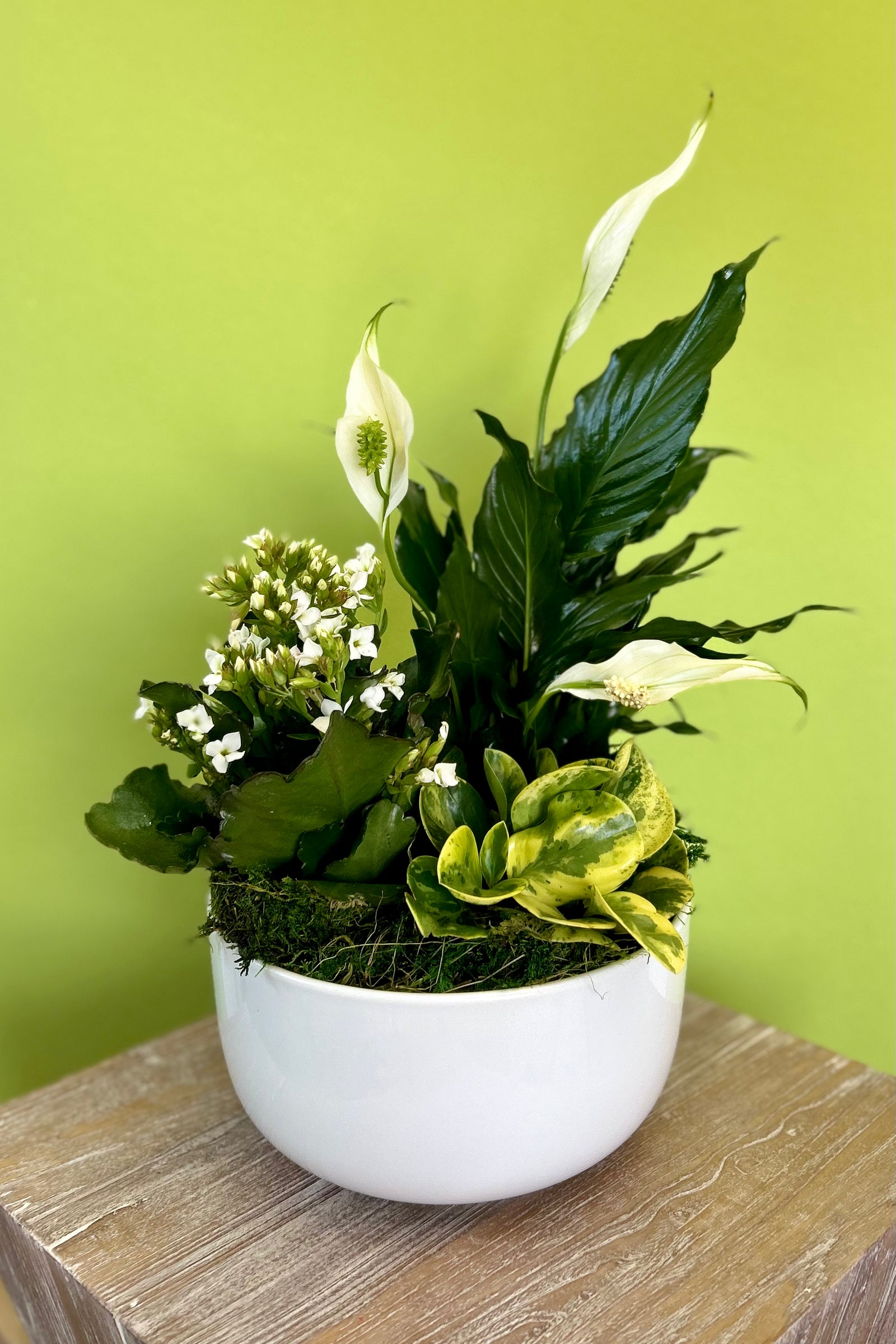 Eternal Grace Planter