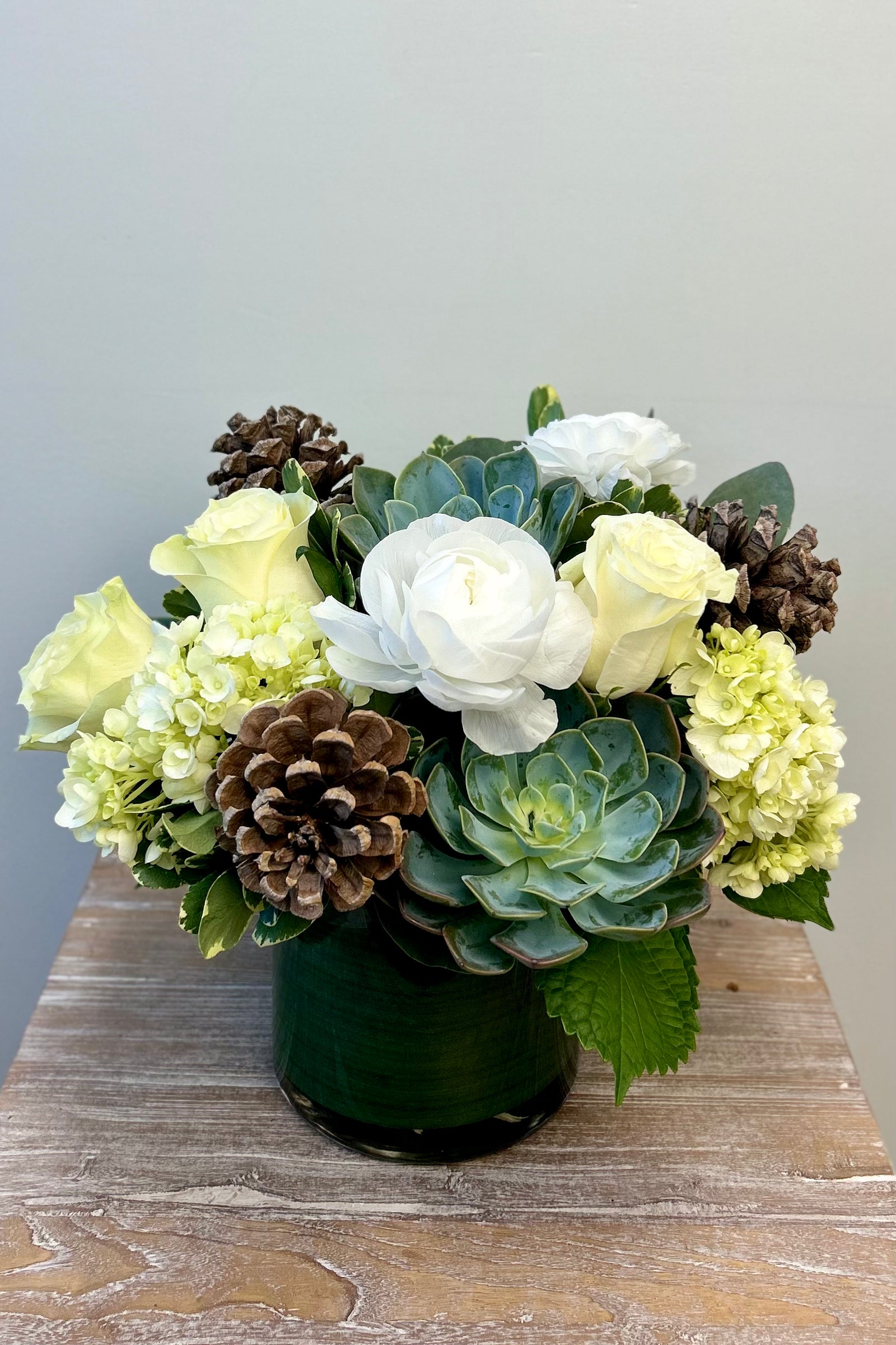 Pinecones and Evergreen