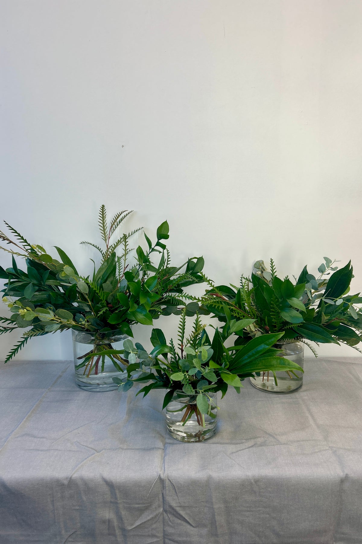 Designer's Choice w/ Soft Whites