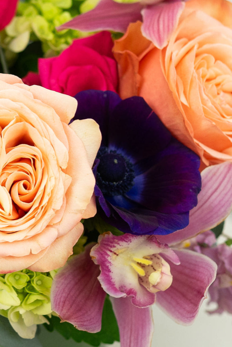 close up of anemone orchids roses hydrangea romantic arrangement