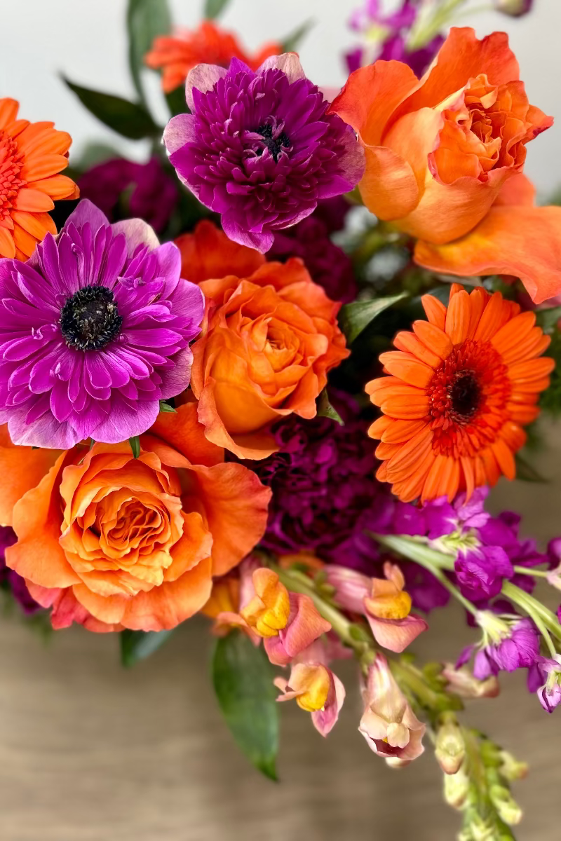 Bouquet of colorful flowers including orange and purple flowers on a neutral background