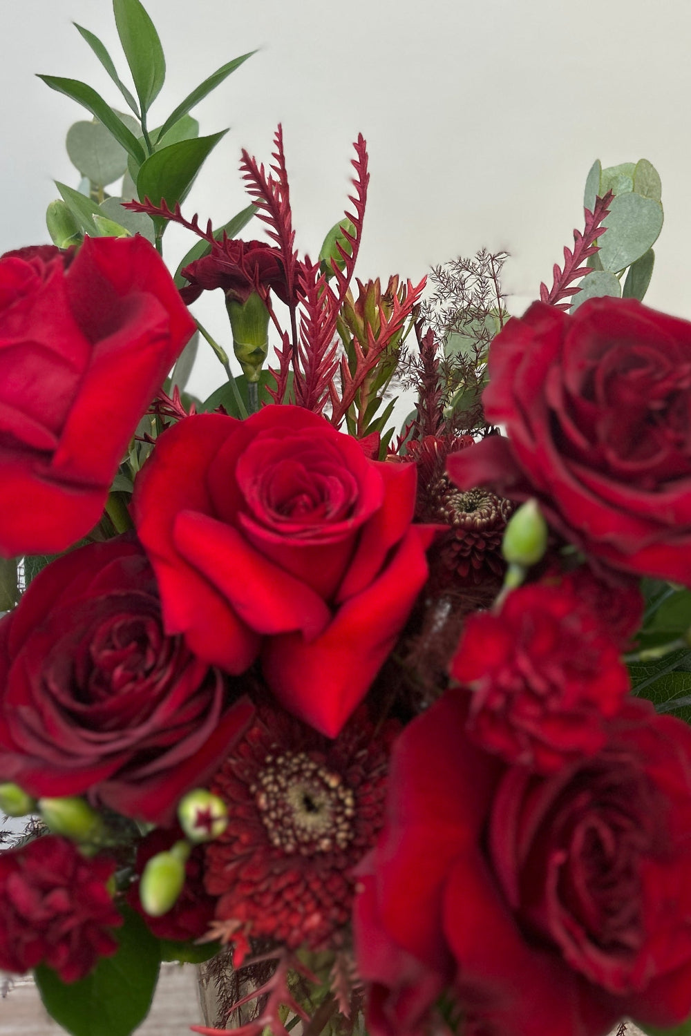 Crimson Obsession bouquet with Black Pearl roses, red Freedom roses, red cremones, burgundy pixie carnations, and red foliage arranged in a rectangular glass vase.