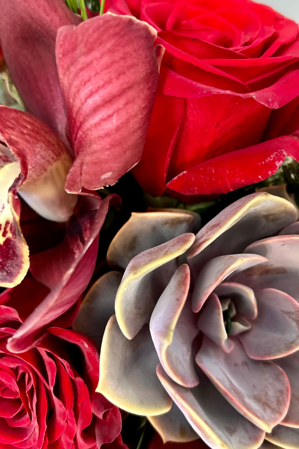 succulent orchid and rose