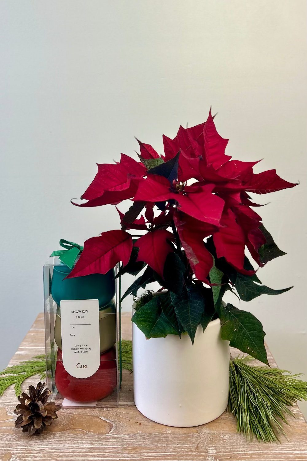 Cue candle trio options — Evergreen Glow Balsam Trio and Snow Day Candle Set — paired with Holiday Radiance Poinsettia