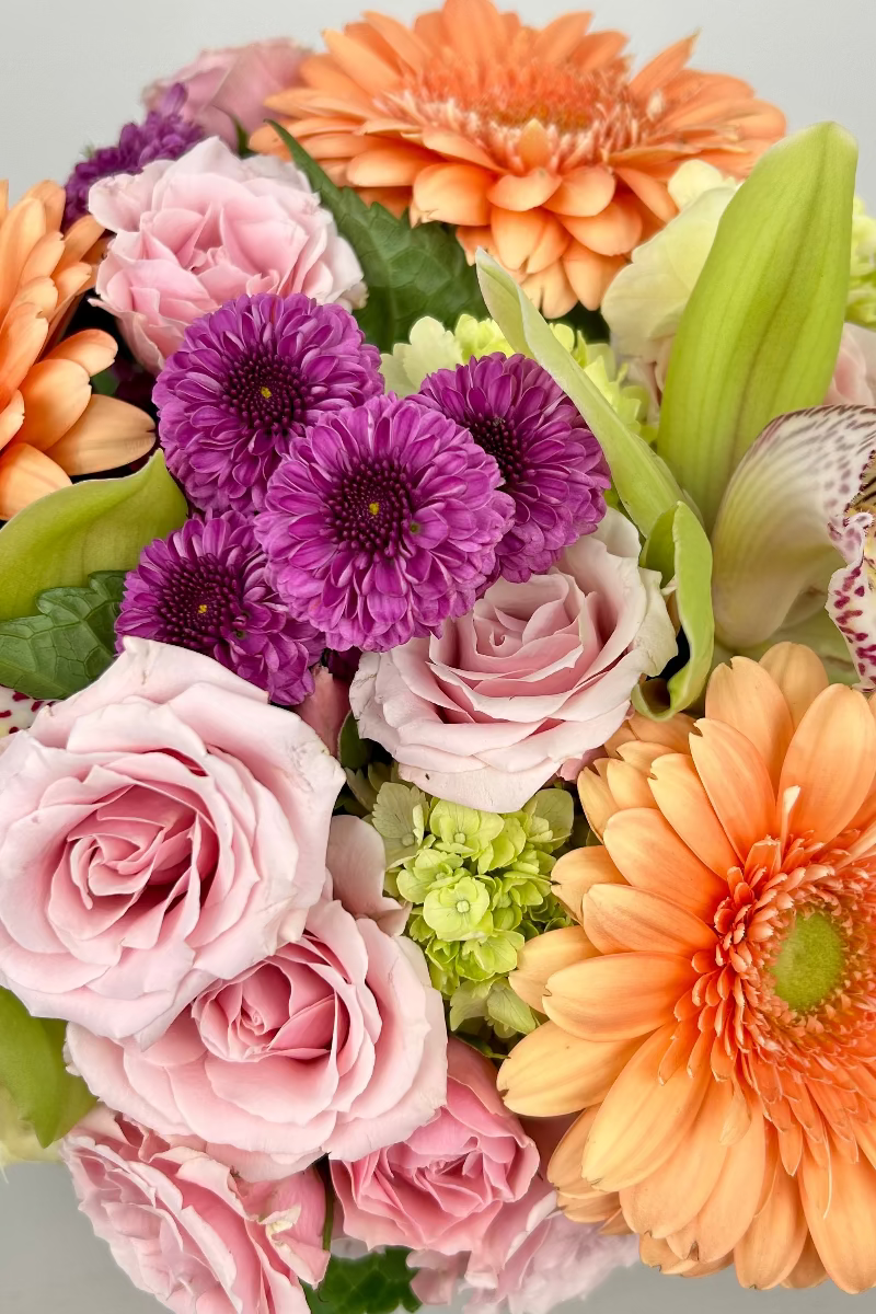 close up image of roses, button mums, hydrangea orchids in soft pastel shades