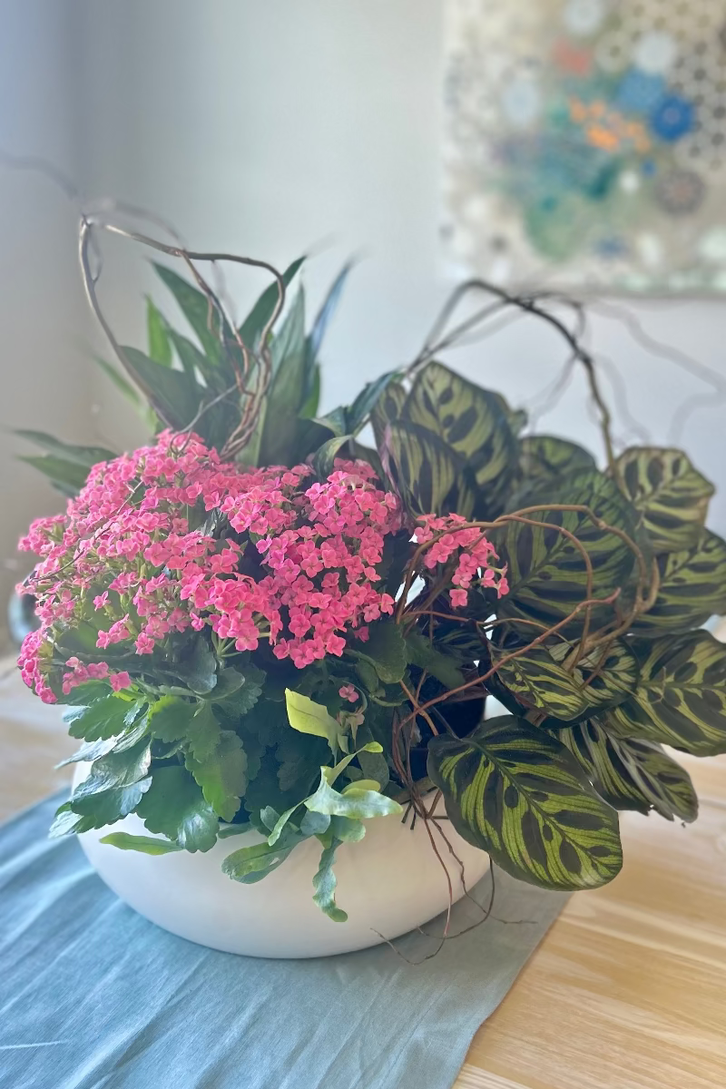 modern plant dish garden on center of dining table 