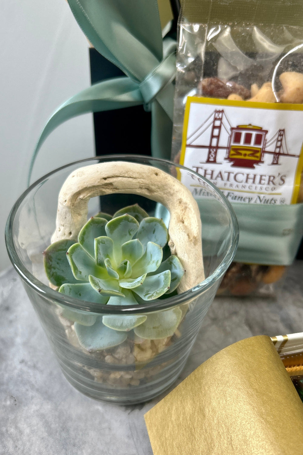 A Father’s Day gift set featuring a small succulent, artisan chocolates, unicorn macarons, and premium mixed nuts arranged in a premium gift bag succulent close up