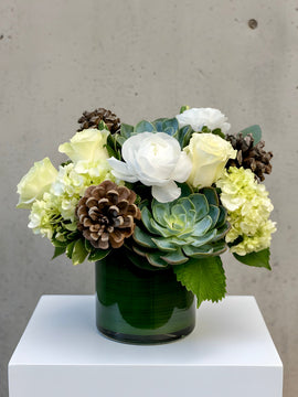 Pinecones and Evergreen