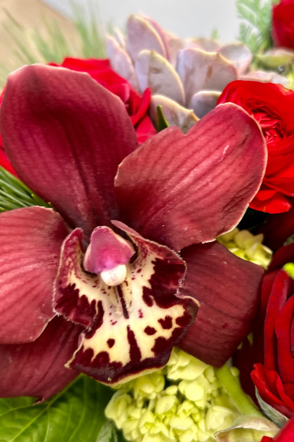 red orchid close up with hydrangea and other red blooms