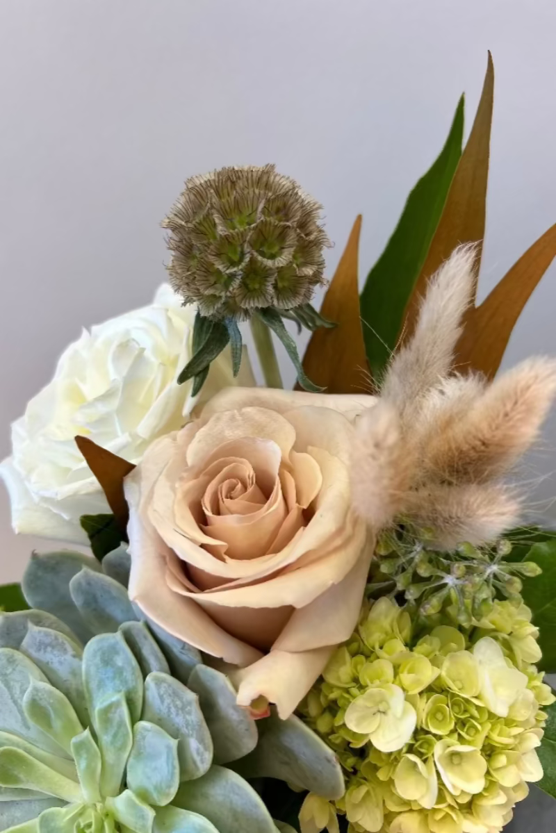 Close-up of Stillness and Sage bouquet showing scabiosa pods, bunny tail grass, and soft green succulents