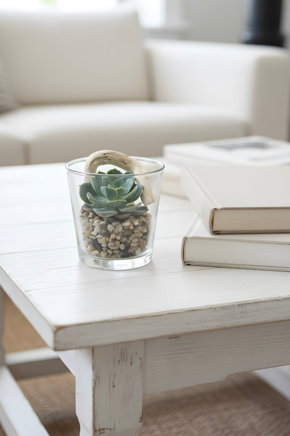 A small modern succulent in a neutral pot, included in the One‑of‑a‑Kind Dad Gift Set.
