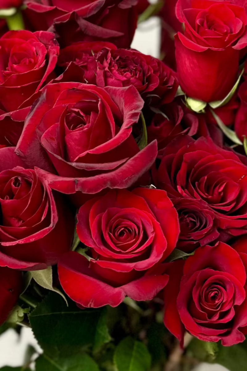 close-up-roses-for-delivery-castle-pines-lone-tree