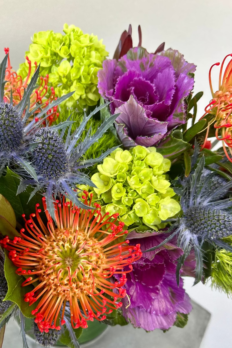 Close‑up of Botanic Curio bouquet showing textured protea, ruffled kale, vibrant berries, and spiky blue thistle