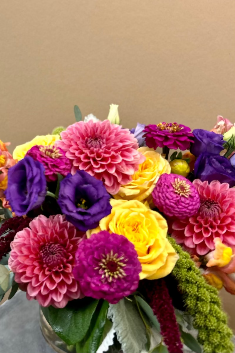 Close-up of vibrant dahlias and zinnias showing bright summer palette and layered texture