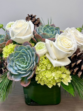 Pinecones and Evergreen