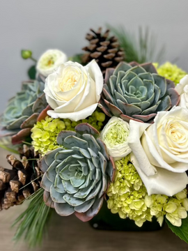 Pinecones and Evergreen