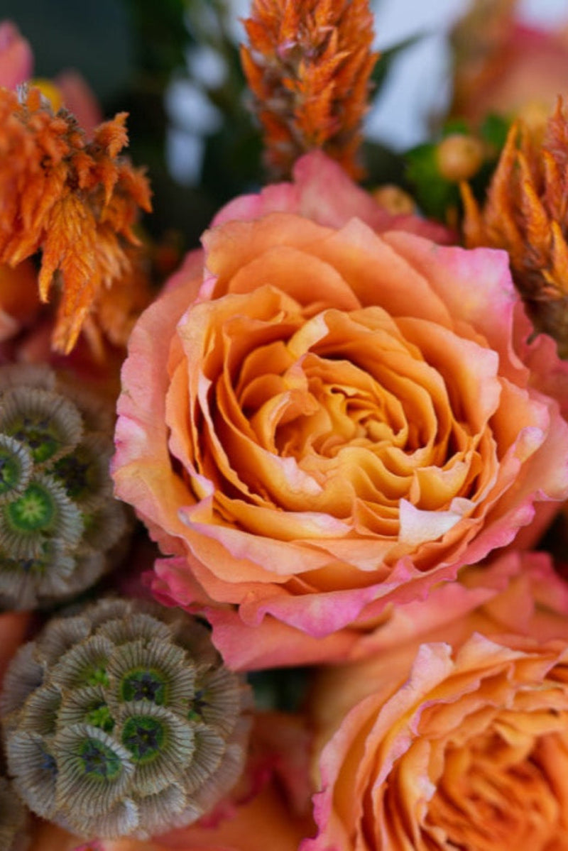 A floral centerpiece featuring a mix of orange and pink roses, berries, and other flowers.