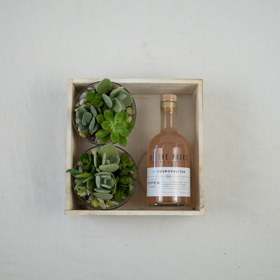 The Flower Fix Succulent Cosmo Gift Set