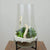 www.theflowerfix.com Large 14.5” X 8 (shown) $79.95 Succulent Terrarium